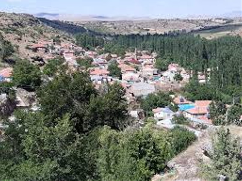 Fotoğraf